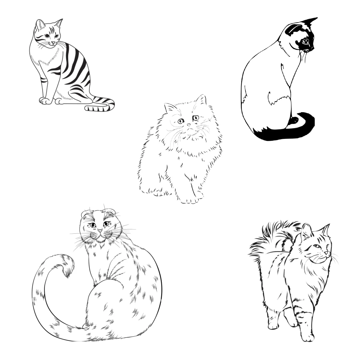 Billie Pet Charm - Image 4