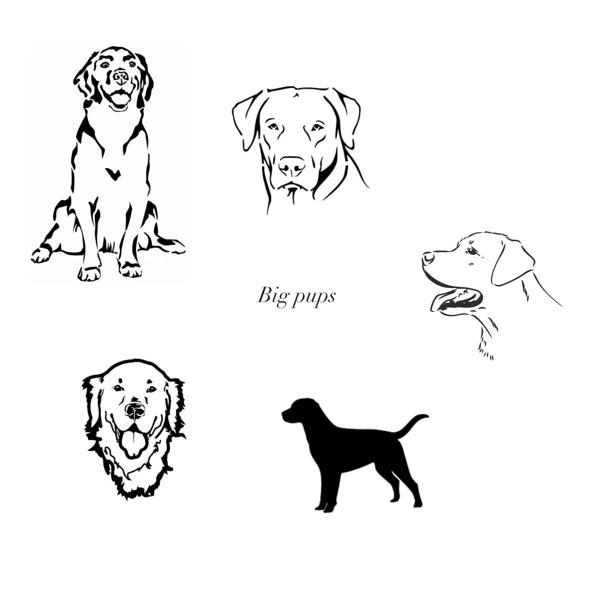 Billie Pet Charm - Image 5