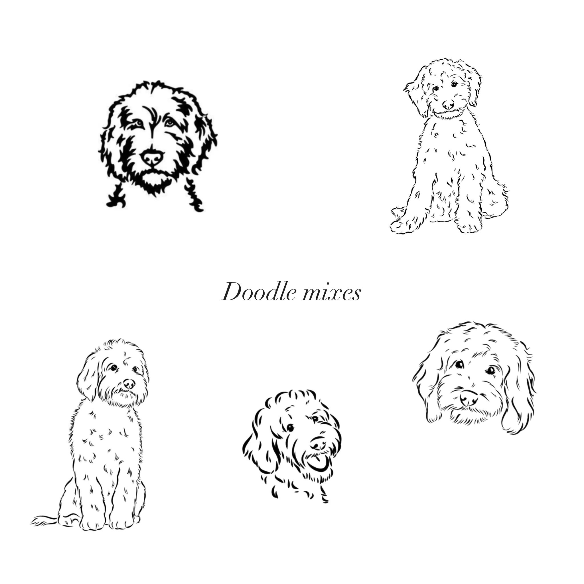 Billie Pet Charm - Image 7