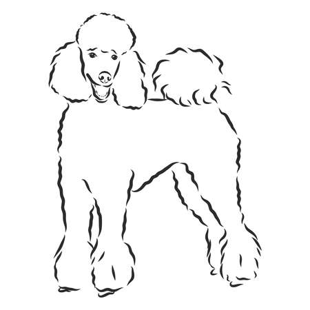 Billie Pet Charm - Image 9